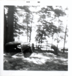 ~LWF0015 copy