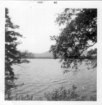 ~LWF0021