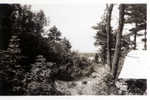 Back at Camp.  View of Winnipesaukee from where? Looks like the Chapel view.