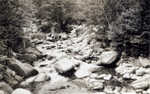 19-mile Brook?  They all look the same.
