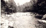 Too big for 19-mile Brook
