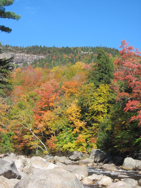 The Gorge - Kancamangus Hwy - Conway, NH
October 2011