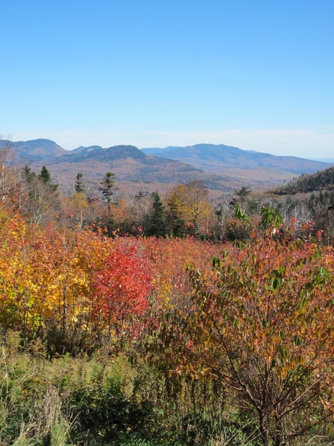 Presidential Range View from afar
October 2011