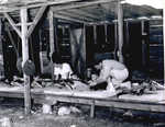 Junior/Senior Rifle Range