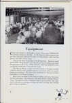 (7) Page 5