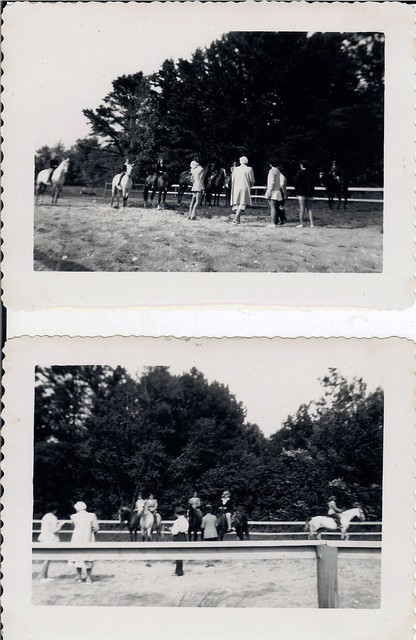 Horseshow--c.1949