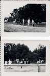 Horseshow--c.1949