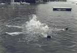 Seniors practice Water Ballet--late '50s
