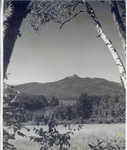 Mt. Cochorua--c.1947