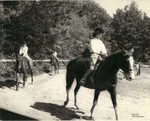 63horseshow